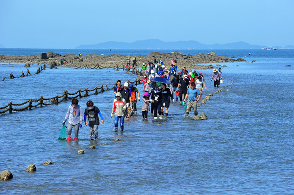 7월 어촌 여행지 충남 보령 무창포 마을 전경사진 /사진제공=해양수산부