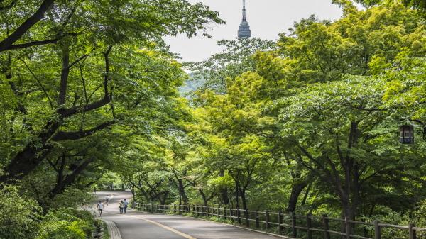 서울특별시 강북구 남산공원 도시숲/사진제공=산림청