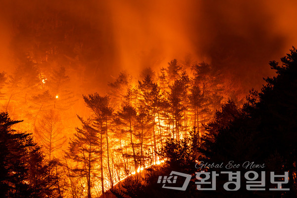 국회의원회관에서 1일 개최된 ‘산불재난 제도개선 방안 국회토론회’에서는 대형 화재를 ‘Wild Mega Fire’로 정의하고, 대응 범위와 체제를 거기에 맞춰 전환할 필요성이 부각됐다. /사진=환경일보DB
