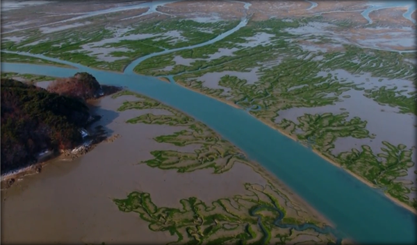 주요 갯벌 서식지 /사진제공=해양수산부