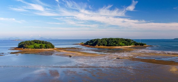 고창 갯벌 /사진제공=해양수산부