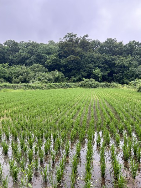 논/사진=백하연