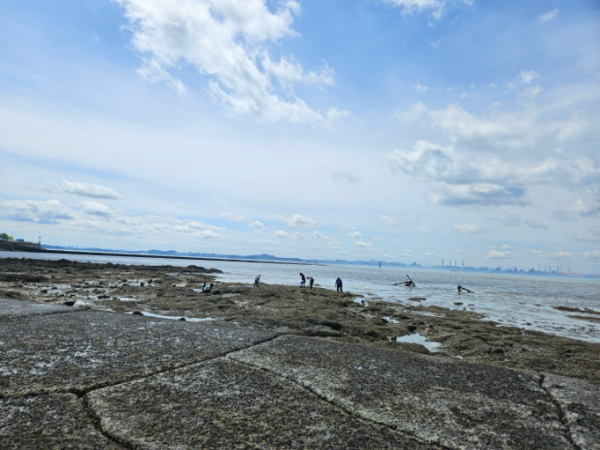 매향리 갯벌 /사진=윤다인 학생기자
