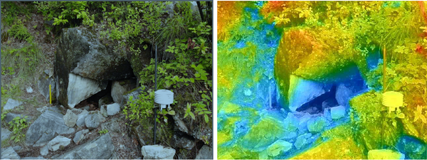 정선 장열리 풍혈지 열화상 촬영 자료 /사진제공=국립수목원