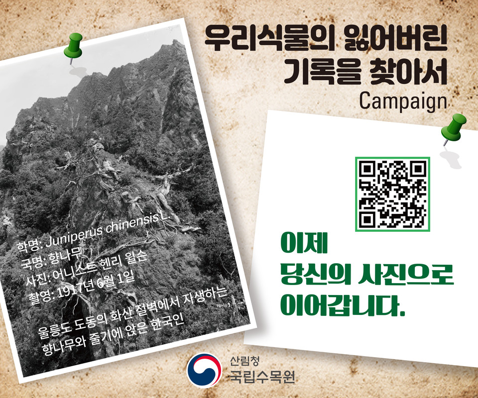 ‘우리식물의 잃어버린 기록을 찾아서: 이제 당신의 사진으로 이어갑니다’ 사진 공모 안내 /자료제공=국립수목원