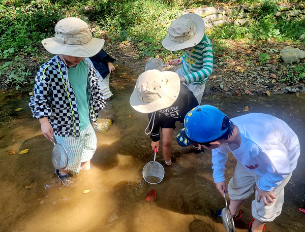 지난해 여름 실시된 관악산 유아숲체험원 프로그램에 참가한 아이들 /사진제공=관악구