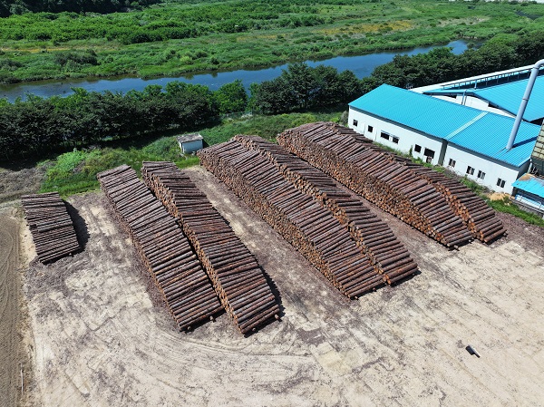 나에게 필요한 국산원목, 골라서 사세요 /사진제공=강원도