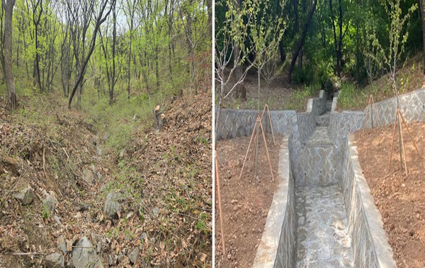 만수동 산 산사태 취약지역의 사방사업 전,후 사진/사진제공=남동구