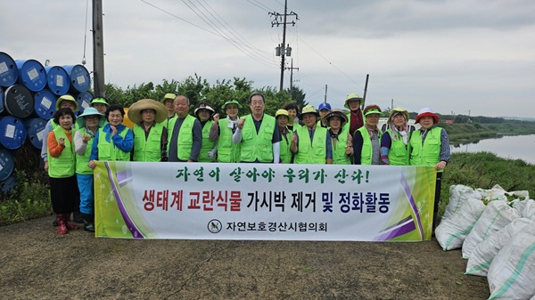 오목천에서 가시박 제거작업을 진행한 자연보호경산시협의회 회원들 /사진제공=경산시