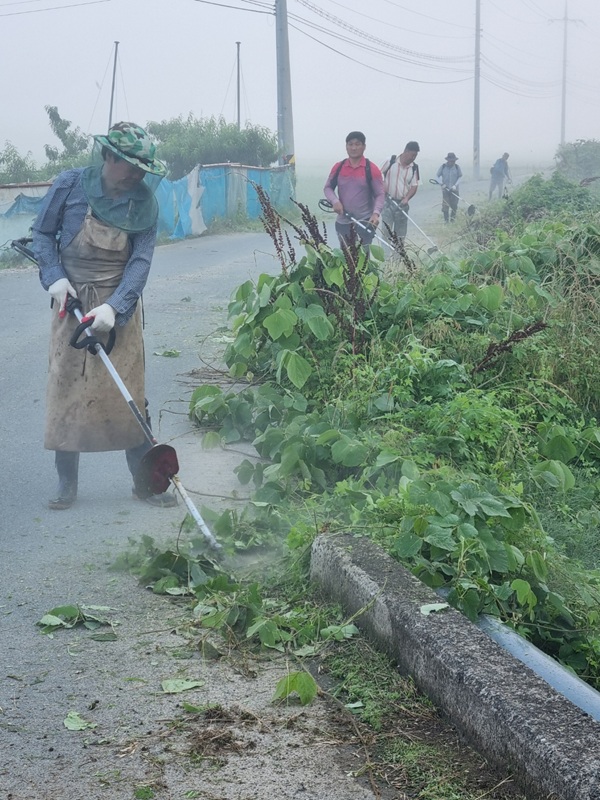 각남 함박리 도로변 풀베기 작업자들  /사진제공=청도군
