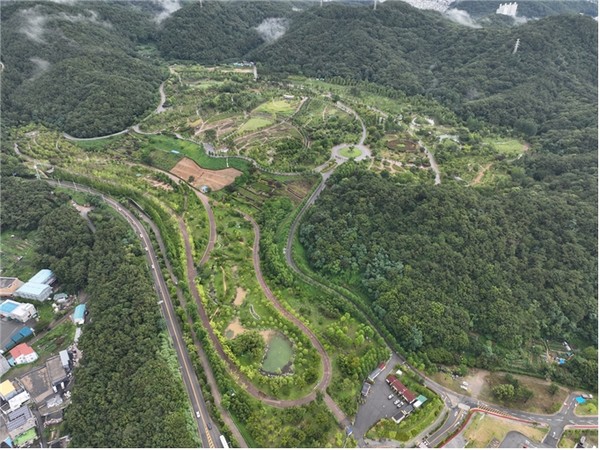 시는 수목 활용한 탄소배출권 확보 사업을 진행한다고 전했다. /사진제공=부산시