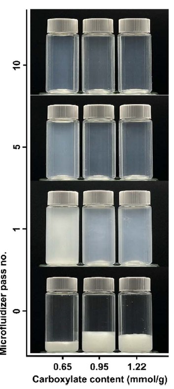 산화 최적화를 통해 생산된 셀룰로오스 나노섬유 현탁액 /사진제공=국립산림과학원