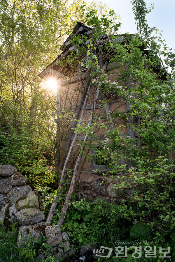 2023 영국 첼시 플라워쇼 ‘백만 년 전에 날아온 편지 : 지리산’ /사진제공=황지해 작가 