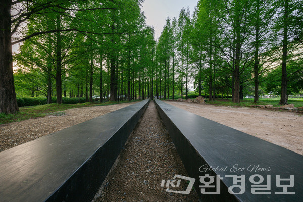 2024 고양시국제꽃박람회 '우리는 선처럼 가만히 누워' /사진제공=황지해 작가 