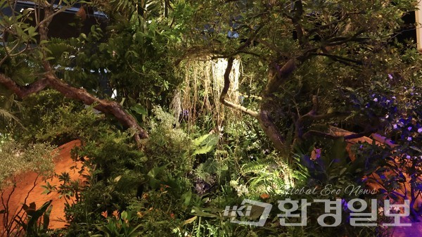 2024 SGF 싱가포르 가든페스티벌 'Red Seed' /사진제공=황지해 작가