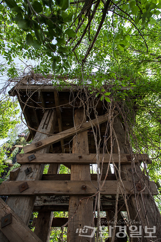 2012 영국 첼시 플라워쇼 'DMZ' /사진제공=황지해 작가 