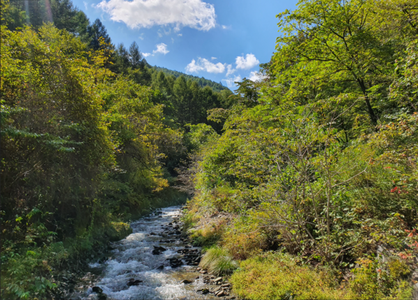 국립산림과학원이 여름철 산지 계곡 수온을 조사한 결과, 평균 수온이 기온보다 7.1℃ 낮아 폭염기 자연 피서지로서 계곡의 효과가 과학적으로 확인됐다. /사진제공=국립산림과학원