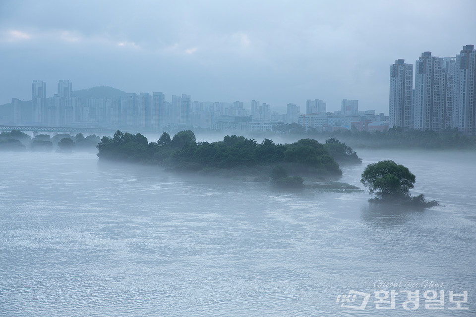 폭우로 잠긴 한강 밤섬 /사진=환경일보DB