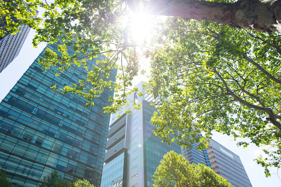‘오존경보제’는 고농도 오존이 발생했을 때 경보(주의보, 경보, 중대경보)를 발령해 국민들이 위험을 회피하고 건강을 보호하도록 광역시·도가 운영계획을 수립해 국민들에게 알리는 제도이다. /사진=환경일보DB