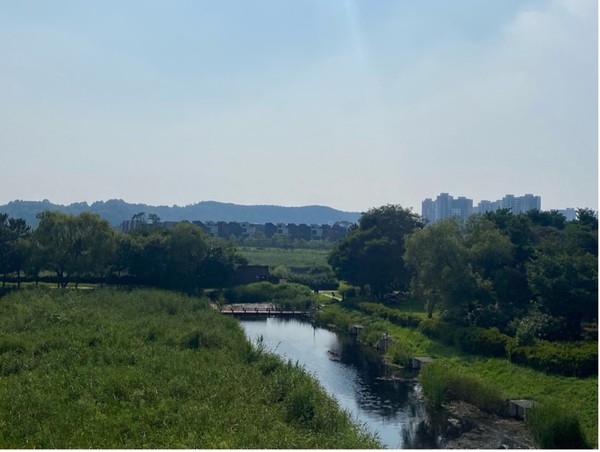 안산 갈대습지 /사진=윤다인 학생기자