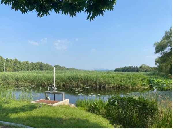 갈대습지 안 생태연못 /사진=윤다인 학생기자