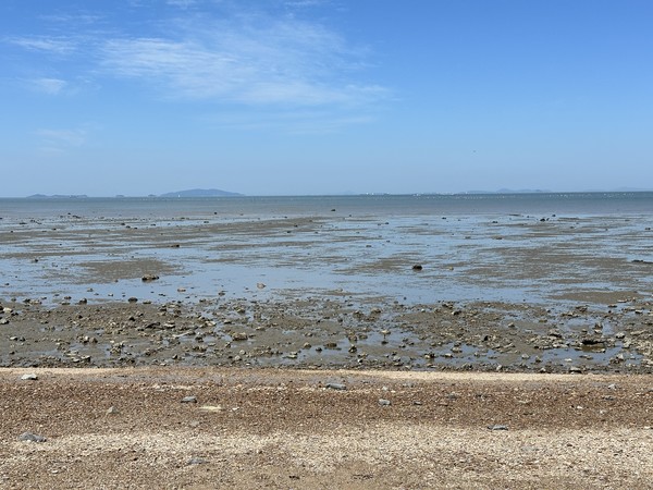 갯벌의 모습 /사진=이주예 학생기자