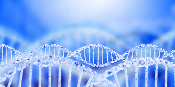 DNA구조 /사진=환경일보DB