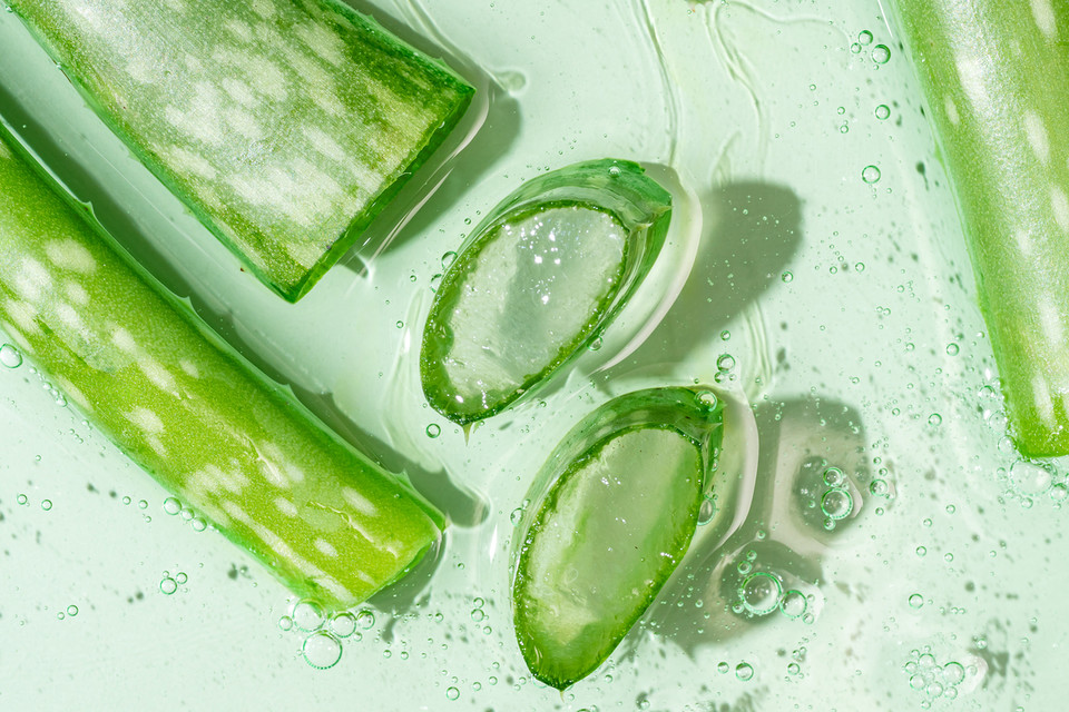 화장품 업계 업사이클링 기술을 식물 기반 자원에 적극 도입하고 있다. 기존에 특정 유효 성분만을 추출하던 방식에서 벗어나서 식물체 전체를 첨가할 수 있는 식물체 연화 기술이 개발되며 기능성과 친환경성을 동시에 만족시키고 있다. /사진=환경일보DB