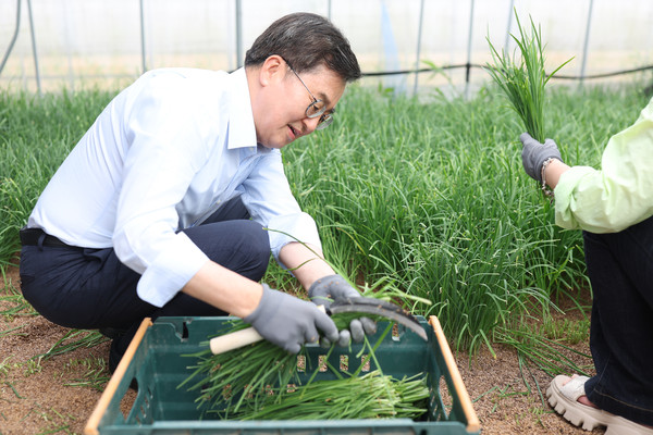 용인시 친환경 부추 재배 농가를 방문한 김동연 지사 /사진제공=경기도