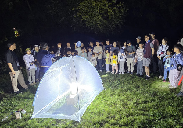 야간 곤충 탐사에 참여한 과천시민들  /사진제공=과천시