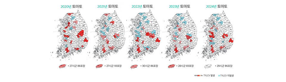 토마토 TYLCV 분포지도 /자료제공=농촌진흥청