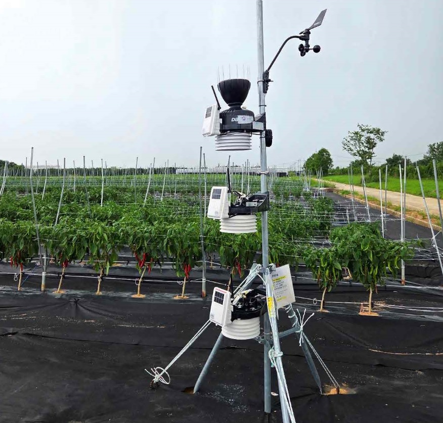 농업 환경에서의 높이별 폭염 특별 관측 /사진제공=기상청