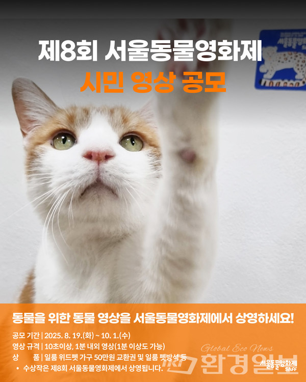 제8회 서울동물영화제가 시민 영상 공모 안내 /자료제공=카라