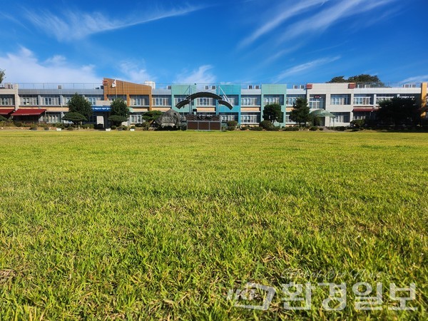 천연잔디 학교운동장 조성 기술 정립 사례(목천초등학교) /사진제공=국립산림과학원