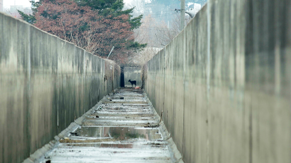 다큐멘터리 ‘생츄어리’ 스틸컷 /자료제공=서울동물영화제
