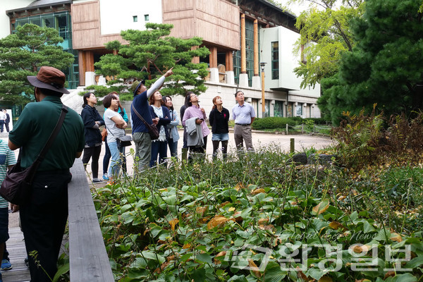 내산(山)내돈’ 산림교육 강좌 개발 과정 모습 /사진제공=국립산림과학원