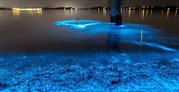 미국 킹스턴 해변 /사진제공=국립해양박물관