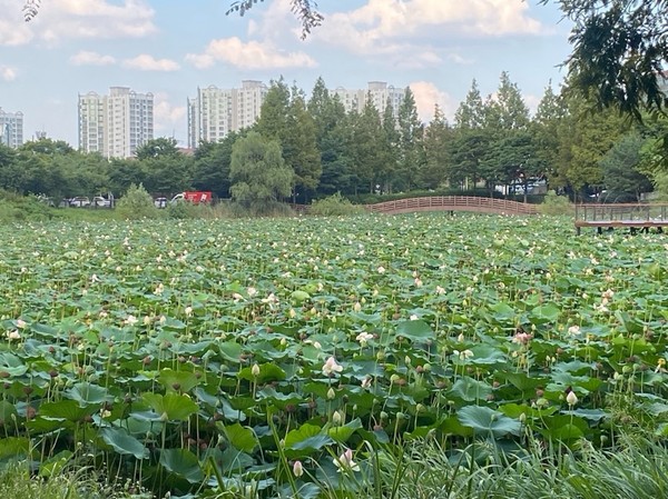 봉담호수공원/사진=윤다인 학생기자