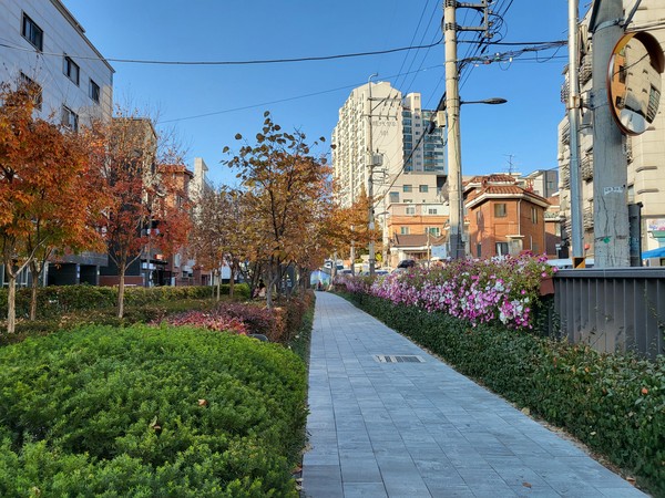 다양한 야생생물들이 숨 쉬는 경춘선숲길/사진=이다현 학생기자