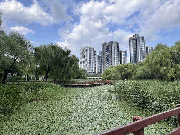 서울숲 습지생태원의 모습 / 사진=이주예 학생기자