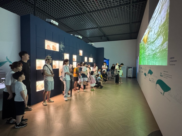 영상으로 만나는 고래의 진화(시각) 체험 모습 /사진제공=국립인천해양박물관