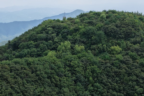 김천바람재 백두대간 복원지 전경 /사진제공=산림청