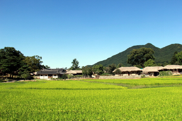 아산 외암마을 전경 /사진제공=아산시