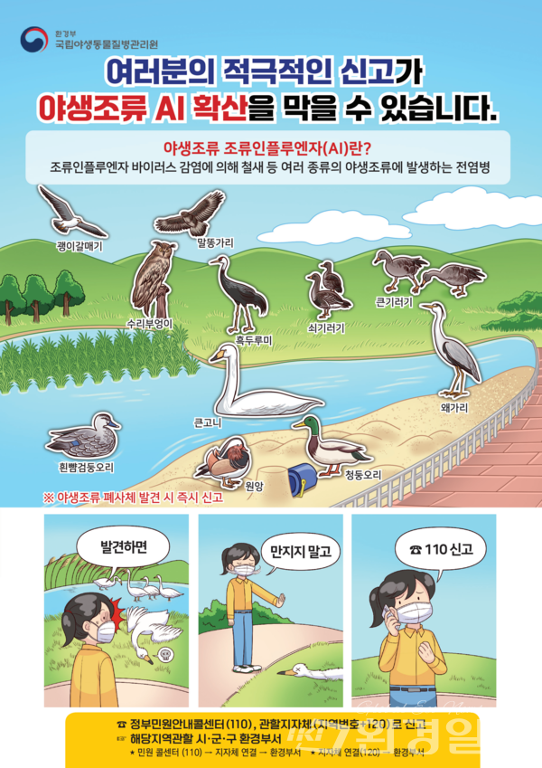 야생조류 조류인플루엔자(AI) 개요 및 신고 방법 /자료제공=국립야생동물질병관리원