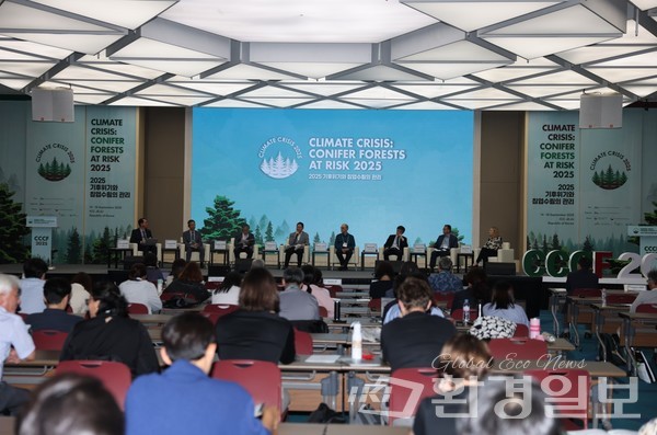 산림청 국립산림과학원은 15일 열린 ‘2025 기후위기와 침엽수림 관리 국제학술회의(CCCF 2025)’에서 고산 침엽수림 보전 연구 성과를 발표했다. /사진제공=국립산림과학원