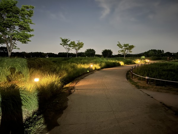 갯골생태공원 야경 /사진제공=경기도의회