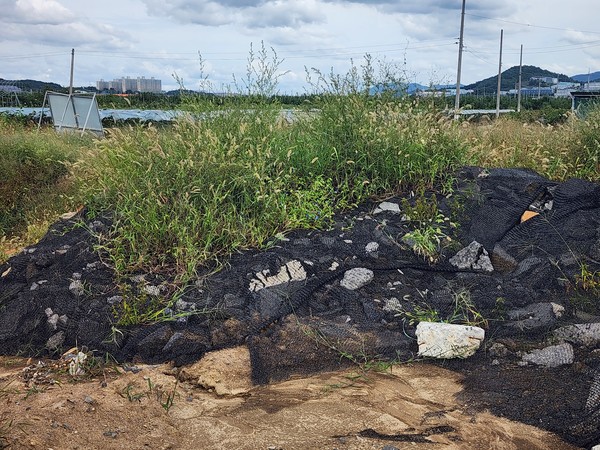  도로건설 현장 수풀 속에 방치된 건설 폐기물 /사진=김성재 기자