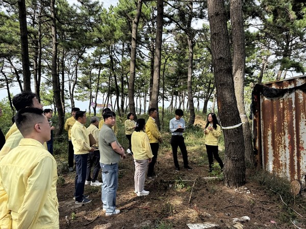 소나무 재선충병 대응 현장 점검 / 사진제공=신안군