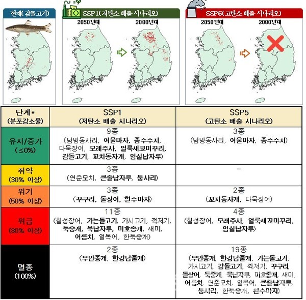 환경부 산하 국립낙동강생물자원관(관장 용석원)은 2080년까지 평균기온 4.2℃로 상승하는 온실가스 배출량 시나리오가 실제로 적용될 경우, 멸종위기 야생생물로 지정된 어류 28종 가운데 19종이 사라질 수 있다고 밝혔다. /자료제공=국립낙동강생물자원관