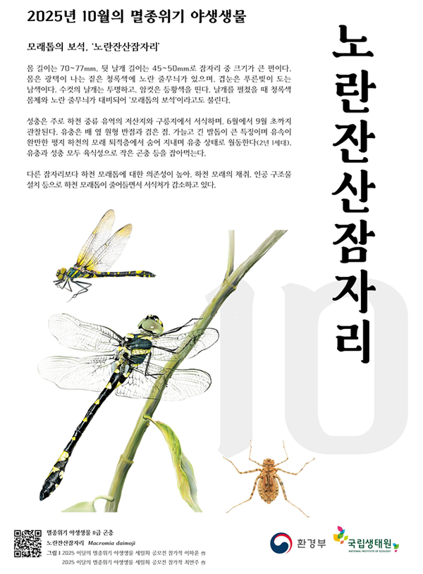 10월의 멸종위기 야생생물 포스터 /사진제공=환경부